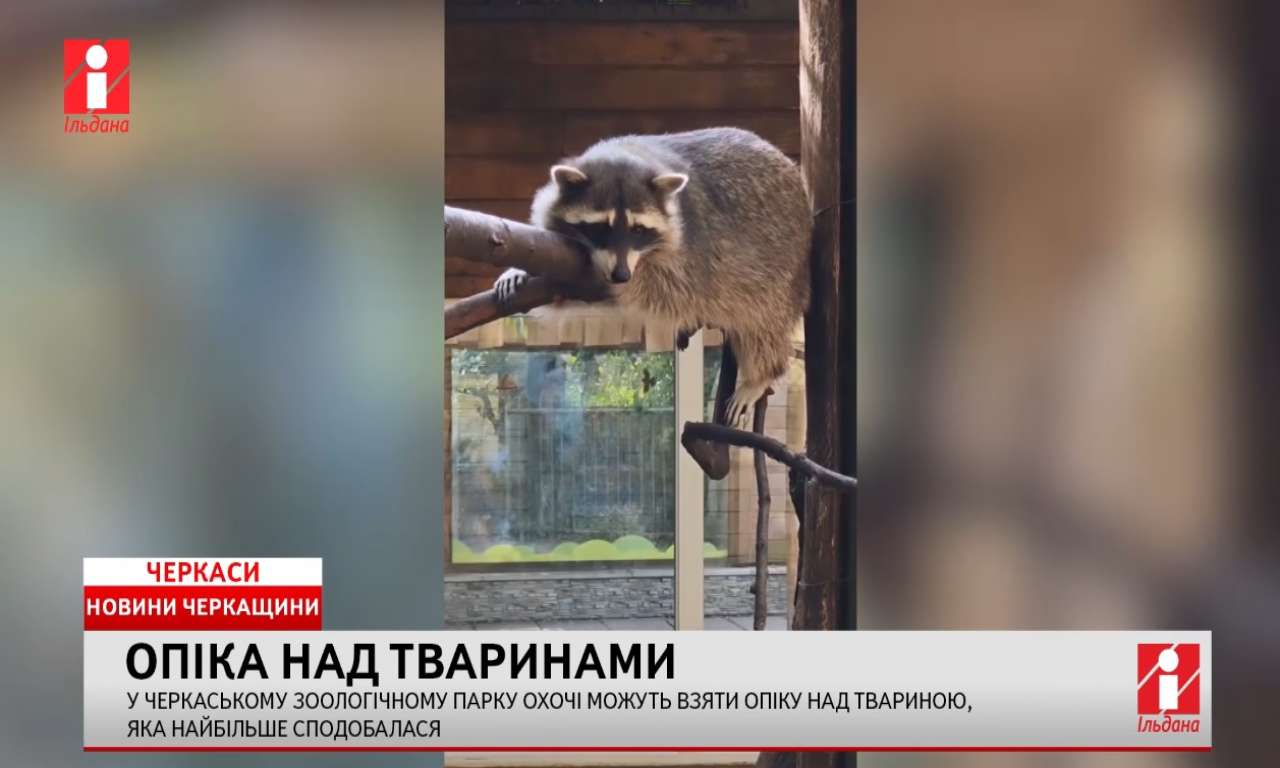 У черкаському зоопарку діє програма «Візьми опіку над твариною» (ВІДЕО)